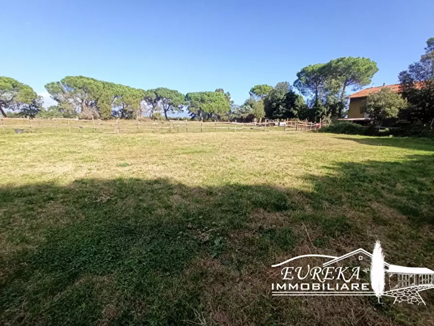 Immagine 22 di Rustico / casale in vendita  in localita bologni a Castiglione Del Lago