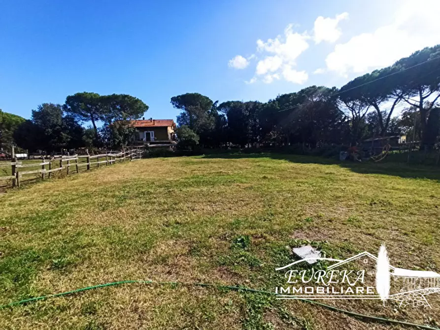 Immagine 23 di Rustico / casale in vendita  in localita bologni a Castiglione Del Lago