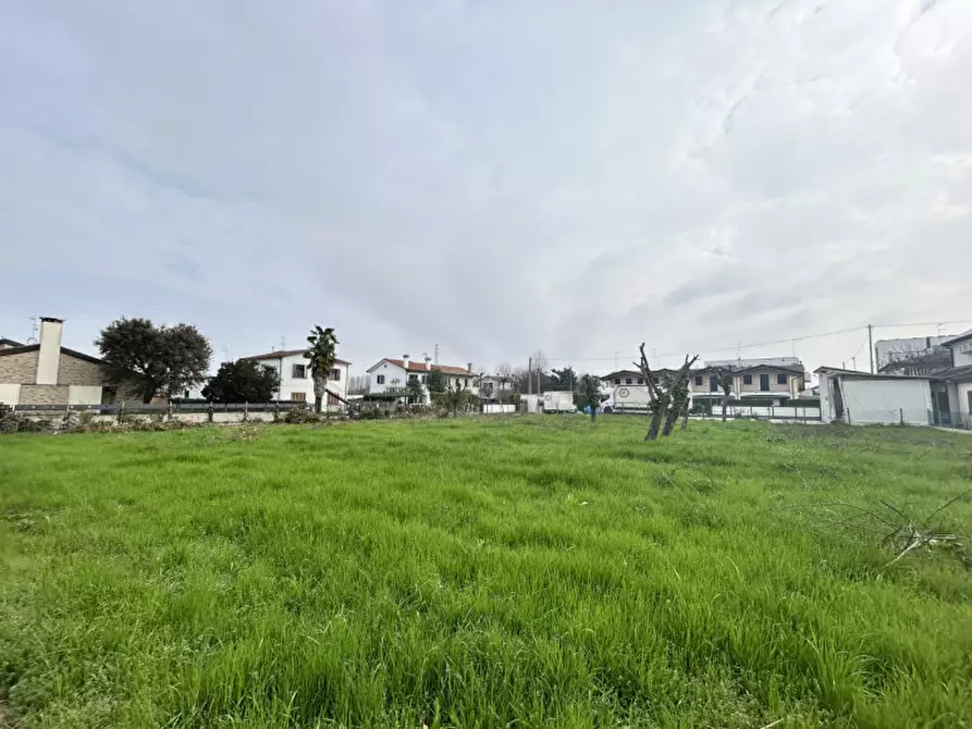 Immagine 4 di Terreno in vendita  in Via baldana a Fiesso D'artico