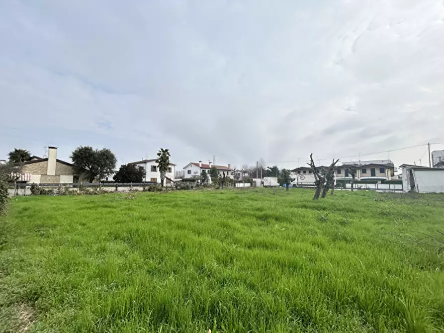 Immagine 5 di Terreno in vendita  in Via baldana a Fiesso D'artico