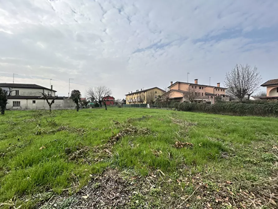 Immagine 23 di Terreno in vendita  in Via baldana a Fiesso D'artico