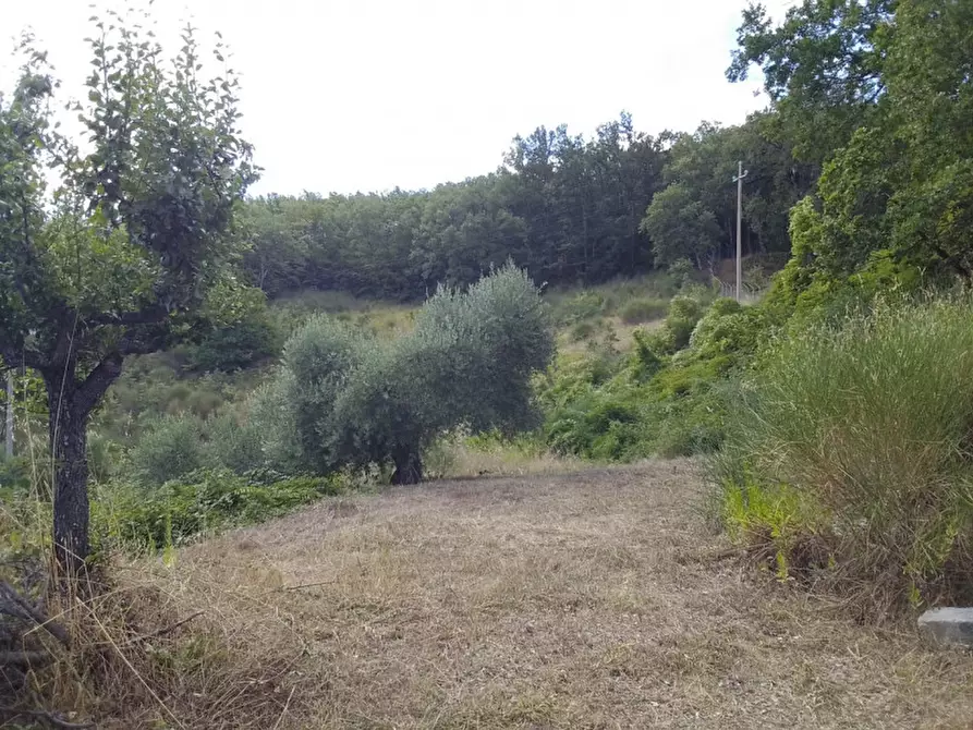 Immagine 11 di Casa indipendente in vendita  in via fratelli bandiera snc a Teana