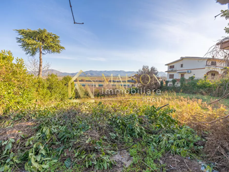 Immagine 3 di Terreno in vendita  in Viale Francesco Petrarca a Zagarolo