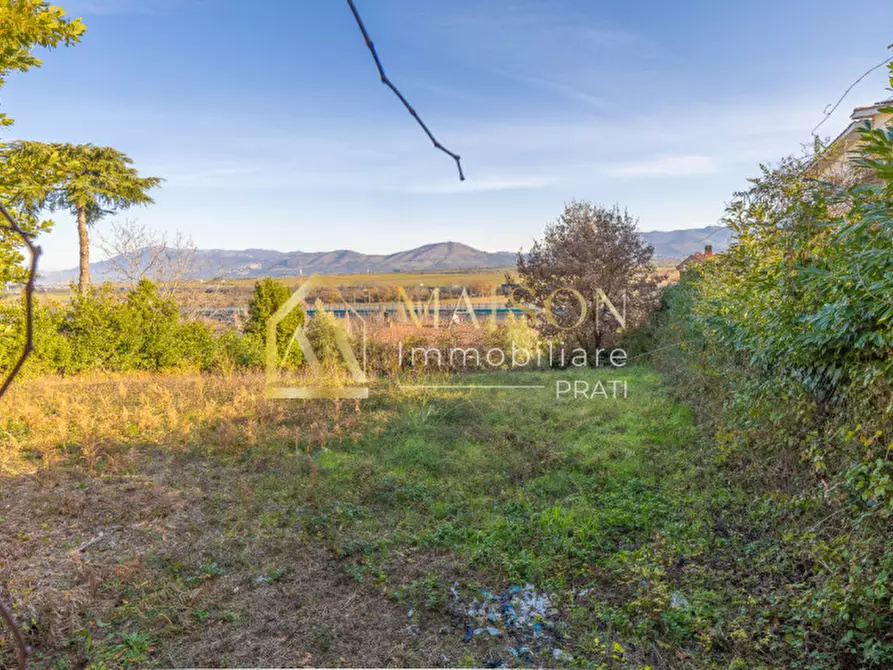 Immagine 5 di Terreno in vendita  in Viale Francesco Petrarca a Zagarolo
