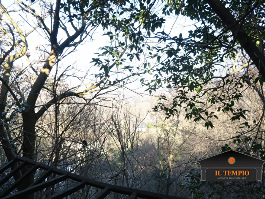 Immagine 2 di Casa indipendente in vendita  in via scarantello a Brendola