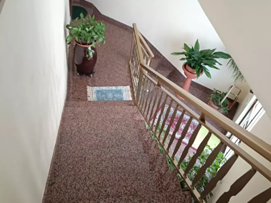 Immagine 4 di Appartamento in vendita  in Via Palmiro Togliatti, 50 a Andria