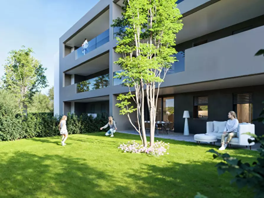 Immagine 2 di Appartamento in vendita  in Via Leone Marzolla a Limena