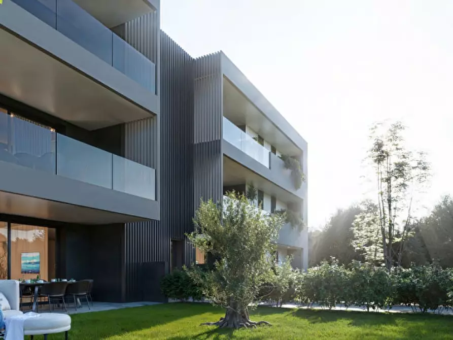 Immagine 4 di Appartamento in vendita  in Via Leone Marzolla a Limena