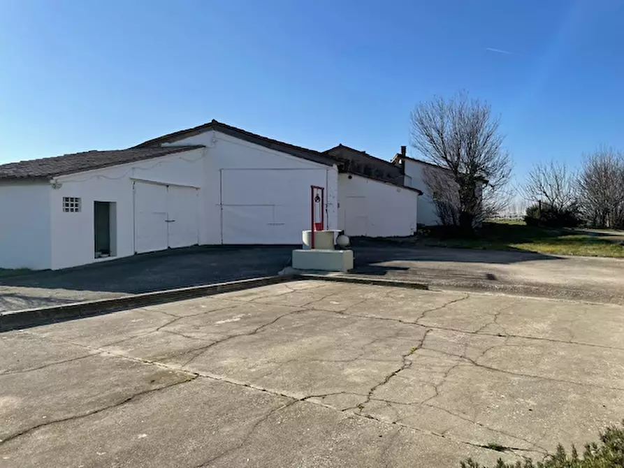 Immagine 3 di Casa indipendente in vendita  in via roma a Codevigo