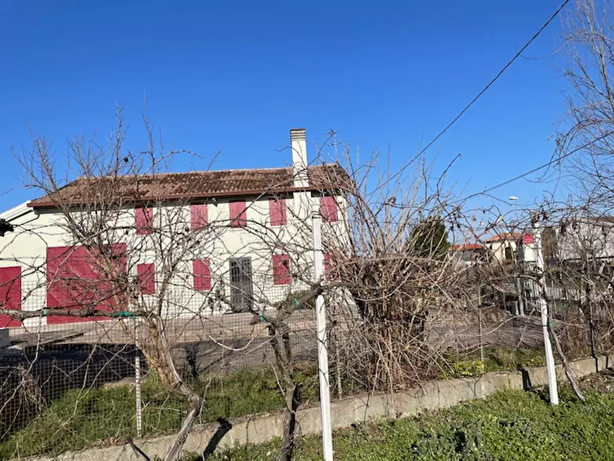 Immagine 5 di Casa indipendente in vendita  in via roma a Codevigo