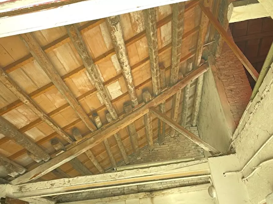 Immagine 15 di Casa indipendente in vendita  in via roma a Codevigo