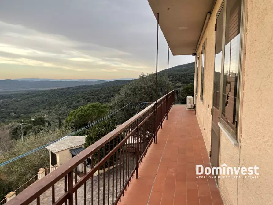 Immagine 2 di Appartamento in vendita  in via circonvallazione a Capalbio