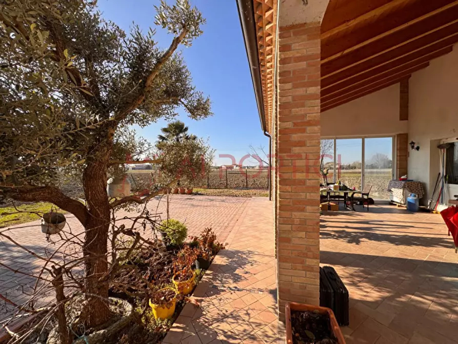 Immagine 2 di Casa indipendente in affitto  in Via Rosara a Codevigo