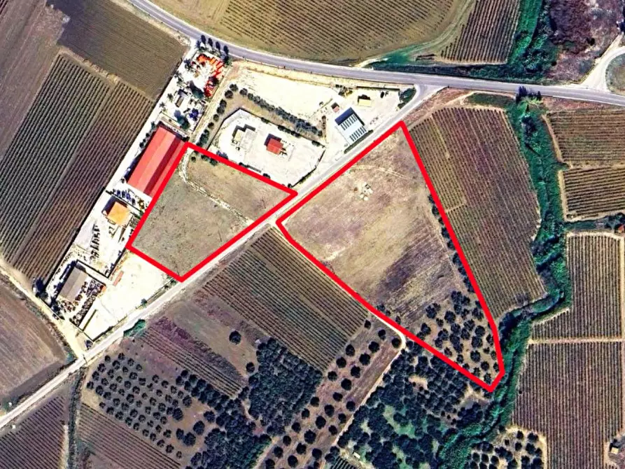 Immagine 6 di Terreno in vendita  in Contrada Capitisseti, SP50, Salemi TP, Italia a Salemi