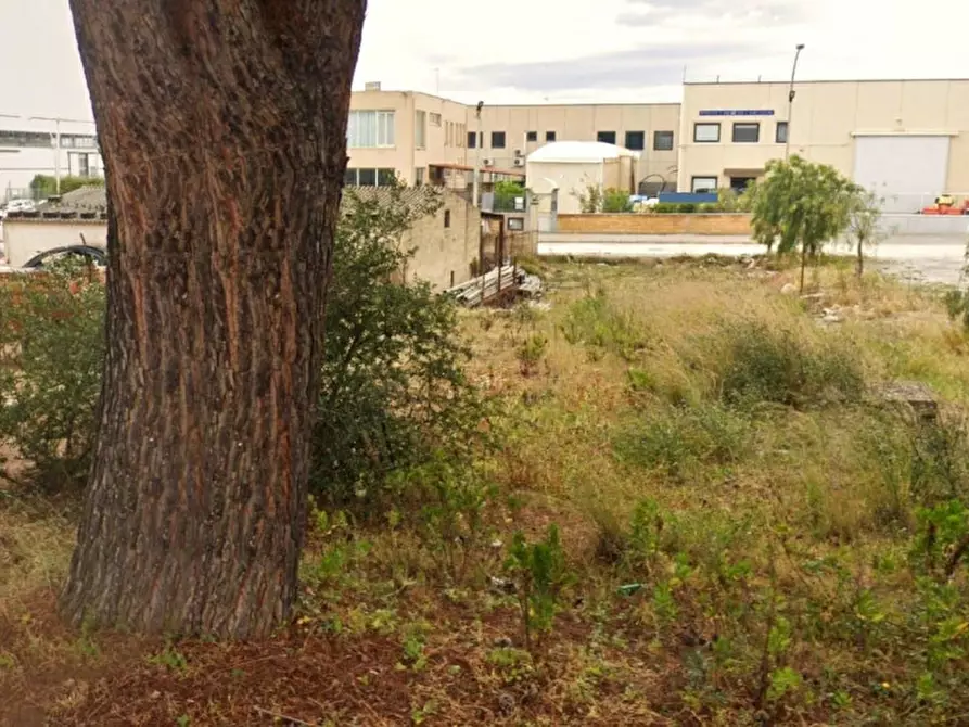 Immagine 4 di Terreno in vendita  in Via Rosario Livatino, Menfi AG, Italia a Menfi