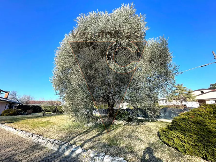 Immagine 56 di Casa indipendente in vendita  in Via Piovego 15 a San Giorgio Delle Pertiche