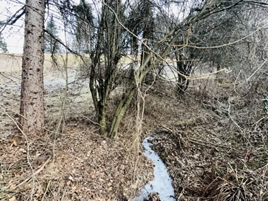 Immagine 14 di Casa indipendente in affitto  a Altopiano Della Vigolana