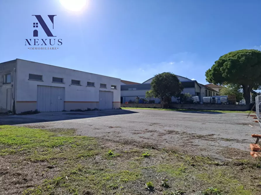 Immagine 10 di Capannone industriale in vendita  in via dell'industria a Fano