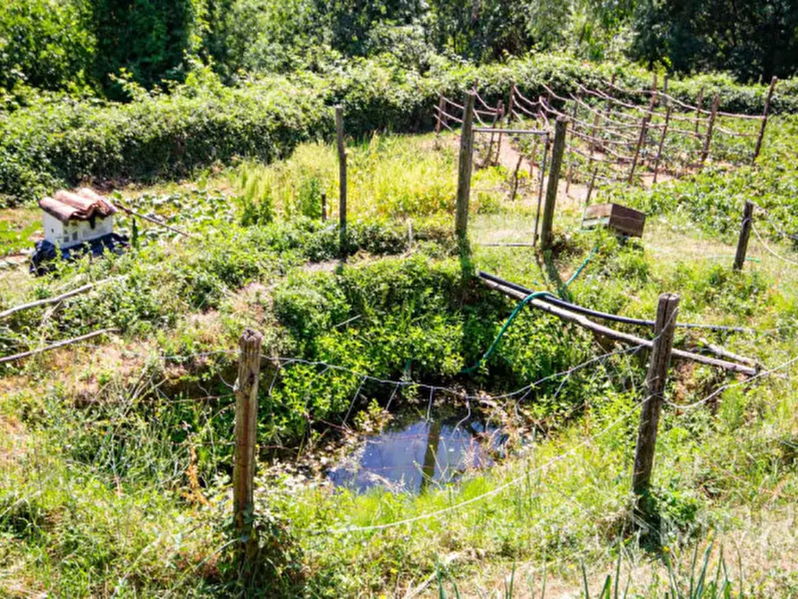 Immagine 3 di Terreno in vendita  in Via Roma a Monteforte D'alpone