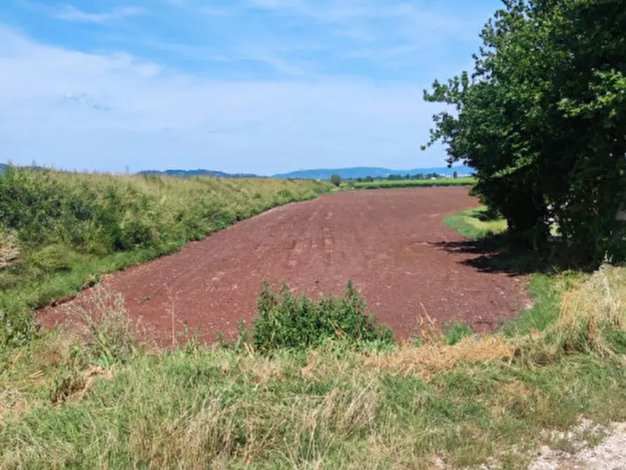 Immagine 4 di Terreno in vendita  in Via Roma a Monteforte D'alpone