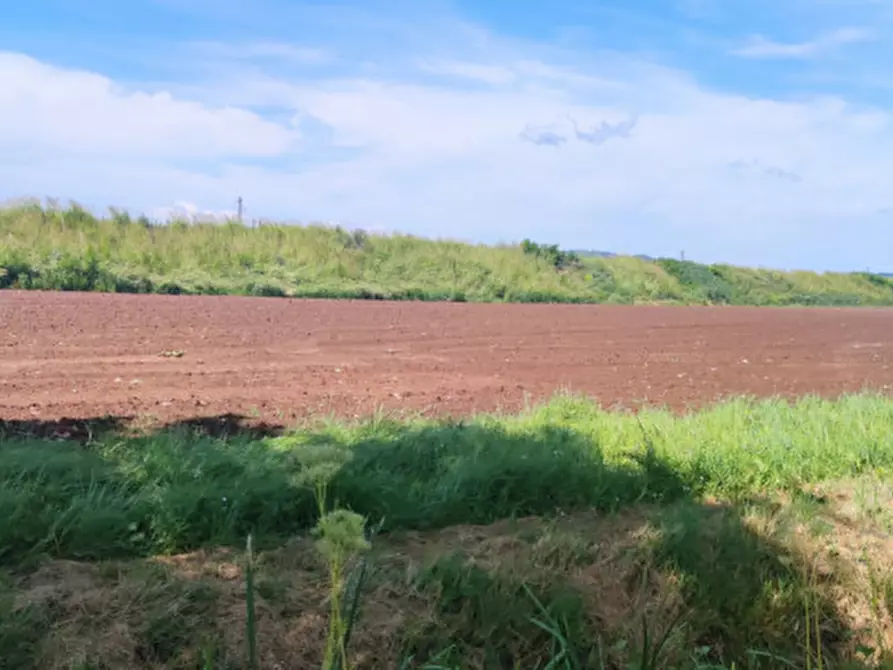 Immagine 5 di Terreno in vendita  in Via Roma a Monteforte D'alpone