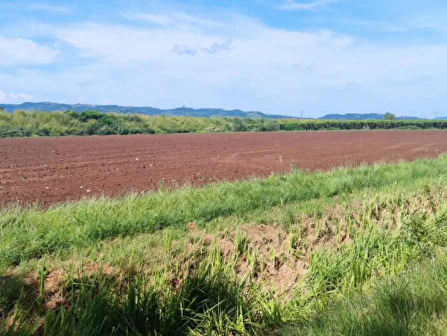Immagine 6 di Terreno in vendita  in Via Roma a Monteforte D'alpone