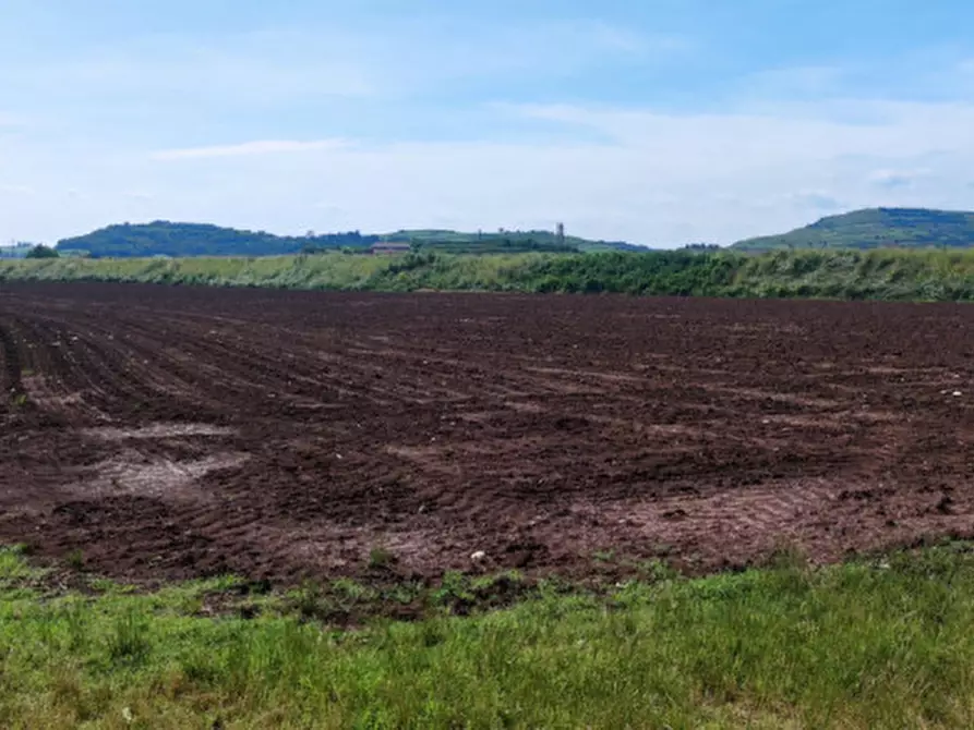 Immagine 7 di Terreno in vendita  in Via Roma a Monteforte D'alpone