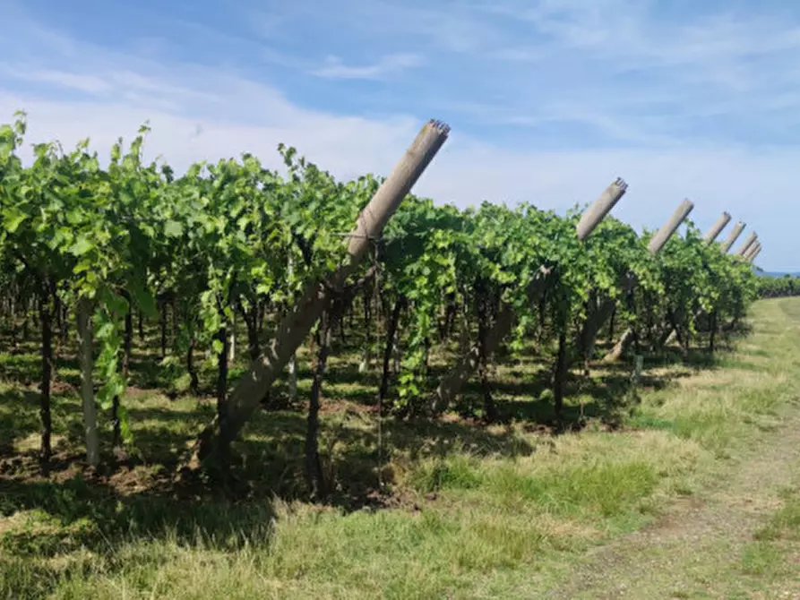 Immagine 8 di Terreno in vendita  in Via Roma a Monteforte D'alpone