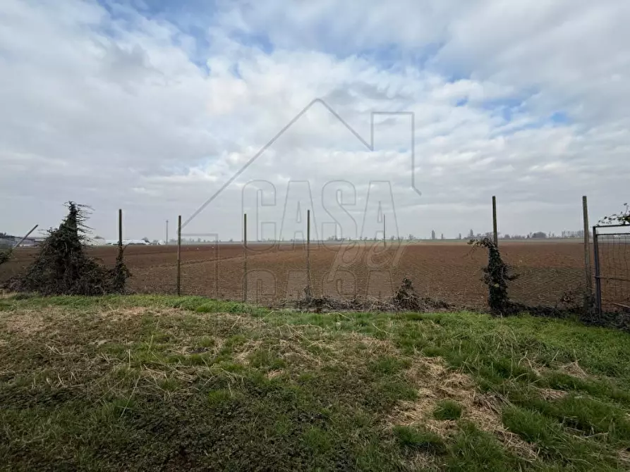 Immagine 19 di Casa indipendente in vendita  in Via Giuseppe Mazzini stanghella a Stanghella