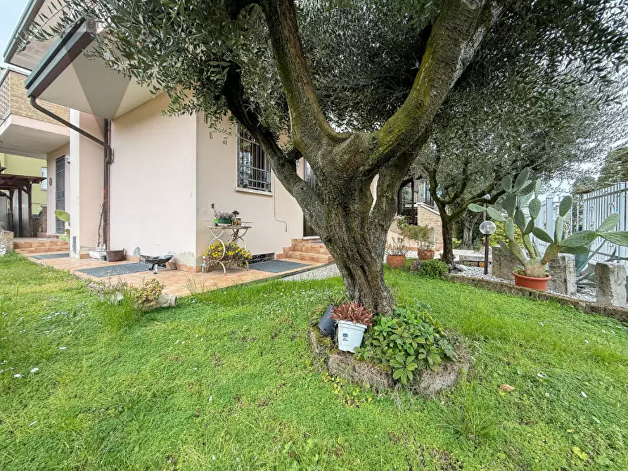 Immagine 3 di Casa bifamiliare in vendita  a Vigonza