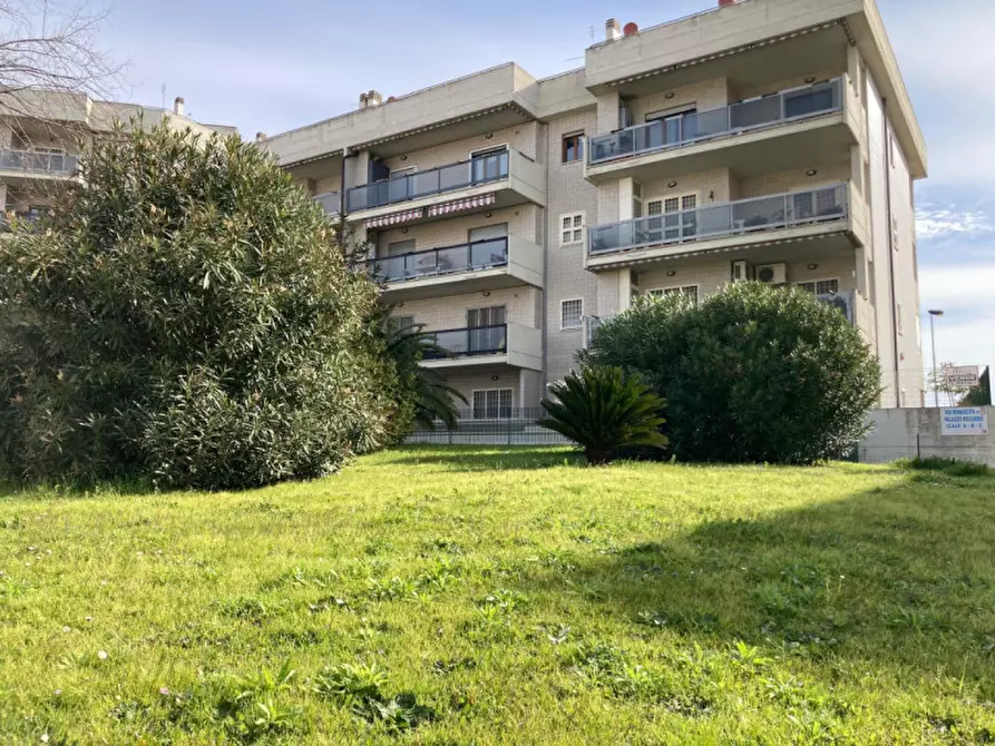 Immagine 3 di Appartamento in vendita  in VIA RINASCITA,30 a Nettuno