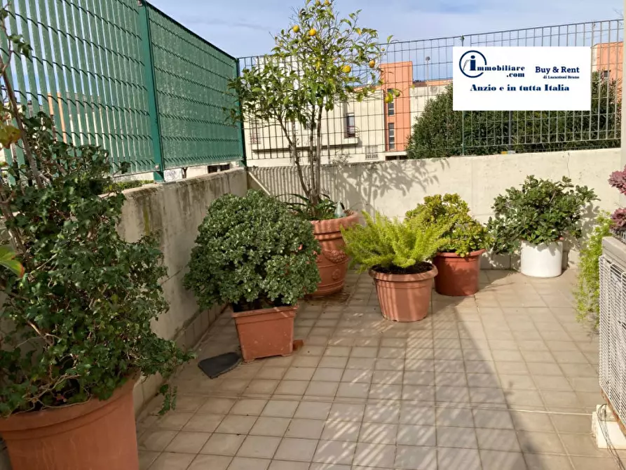 Immagine 15 di Appartamento in vendita  in VIA RINASCITA,30 a Nettuno