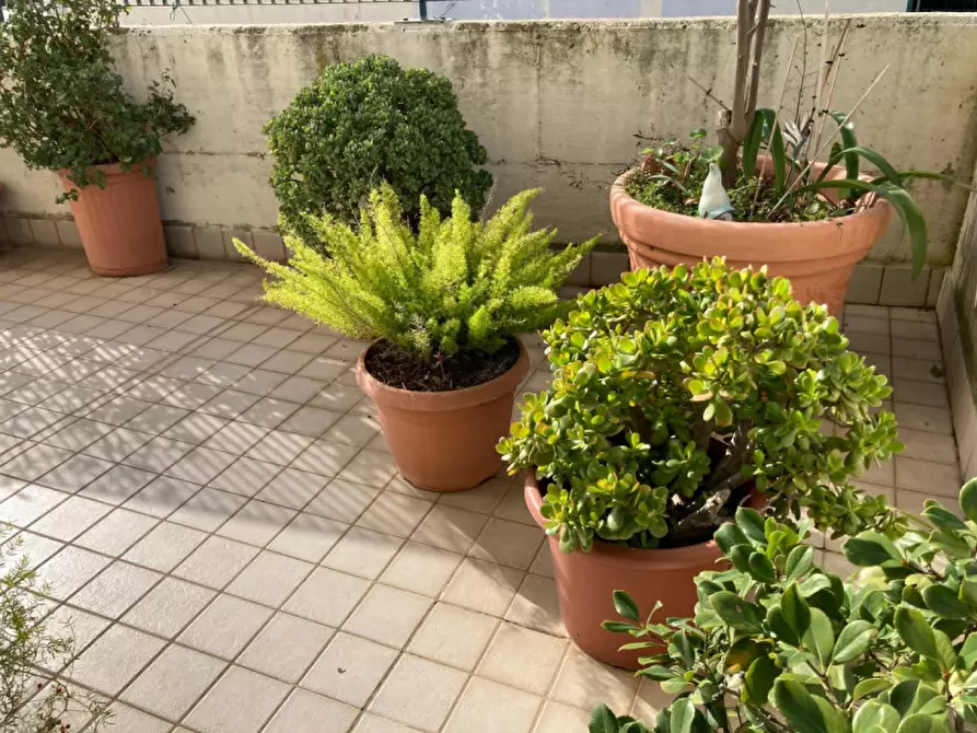 Immagine 21 di Appartamento in vendita  in VIA RINASCITA,30 a Nettuno