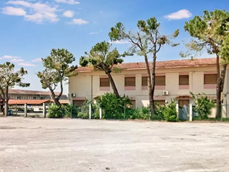 Immagine 5 di Terreno in vendita  in Via Amendola, N. snc a Forlimpopoli