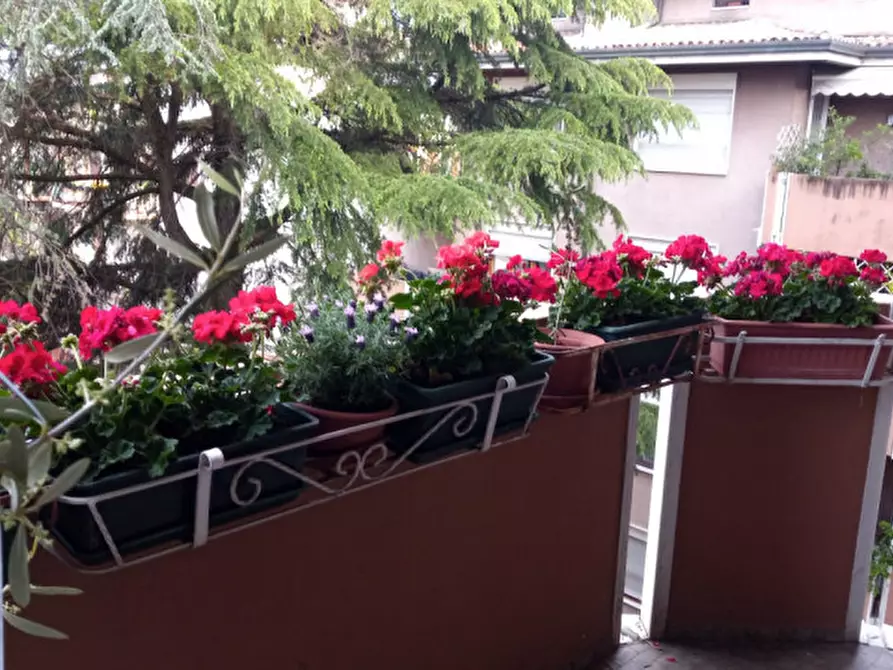 Immagine 22 di Appartamento in vendita  in Via Antonio Pizzocaro a Vicenza