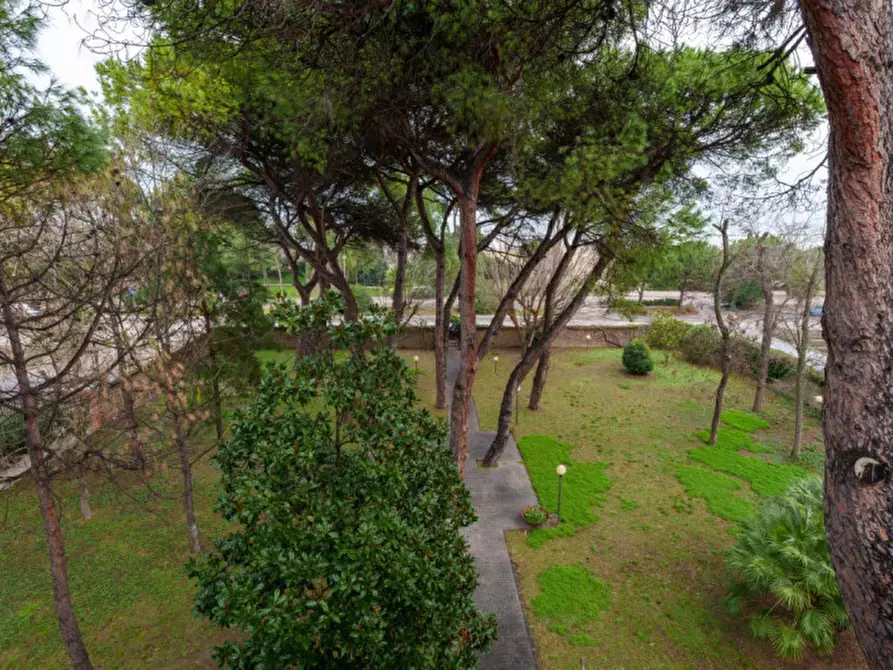 Immagine 4 di Appartamento in vendita  in Viale della Riviera a Pescara