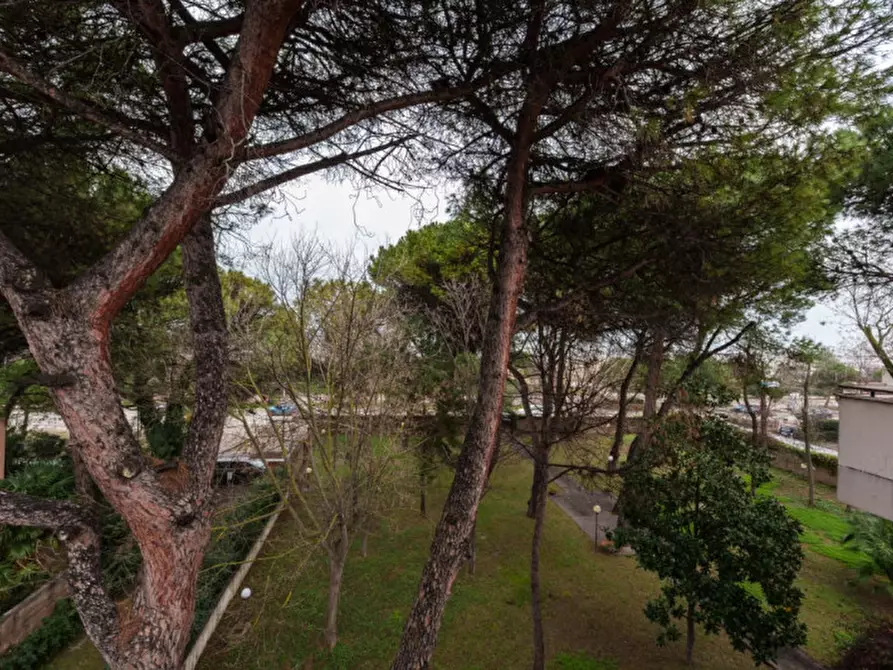 Immagine 12 di Appartamento in vendita  in Viale della Riviera a Pescara