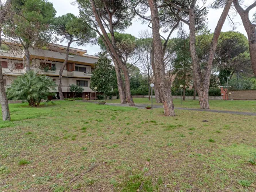 Immagine 24 di Appartamento in vendita  in Viale della Riviera a Pescara