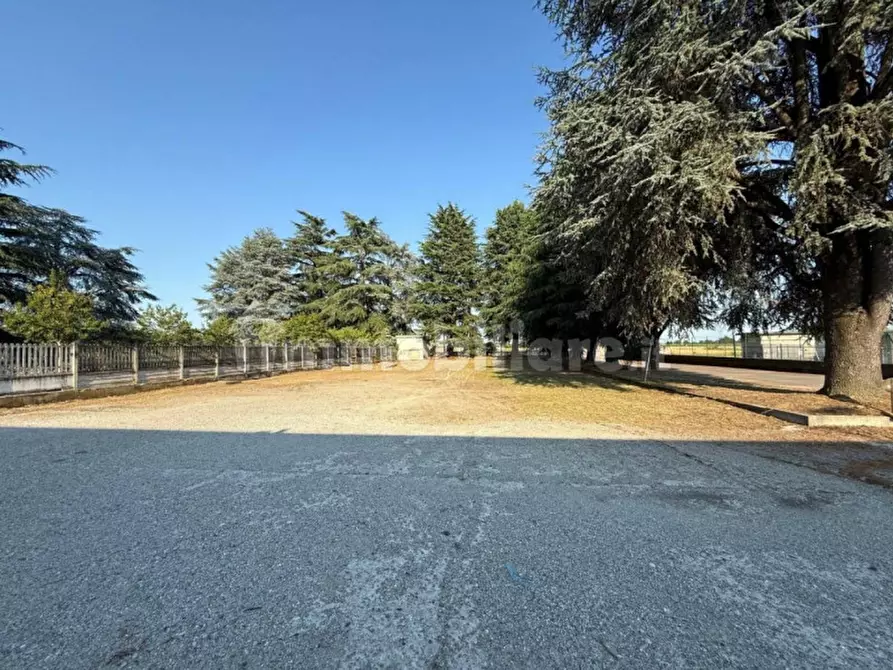 Immagine 5 di Capannone industriale in vendita  in Via Torino, 10 a Barone Canavese