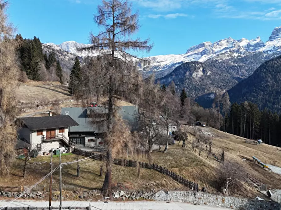 Immagine 17 di Rustico / casale in vendita  in Località Fratè a Pinzolo