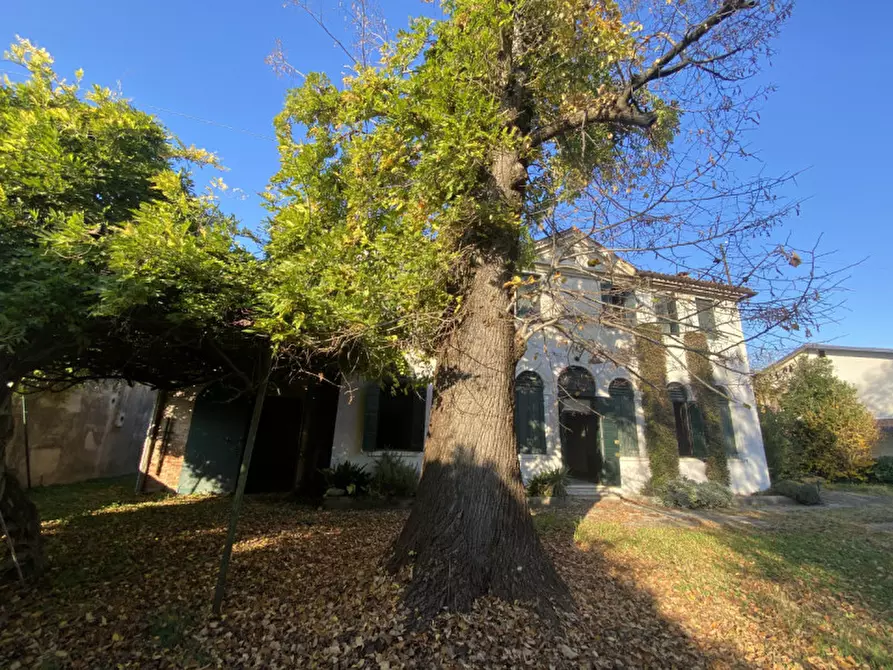 Immagine 3 di Villa in vendita  in via Papa Giovanni XXIII a Mira