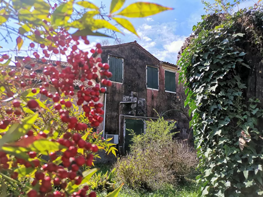 Immagine 7 di Villa in vendita  in via Papa Giovanni XXIII a Mira