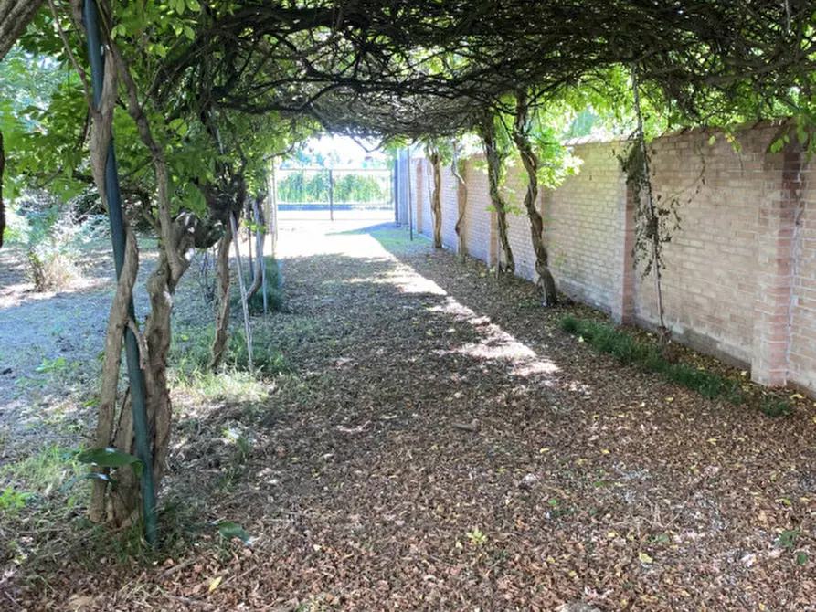 Immagine 22 di Villa in vendita  in via Papa Giovanni XXIII a Mira