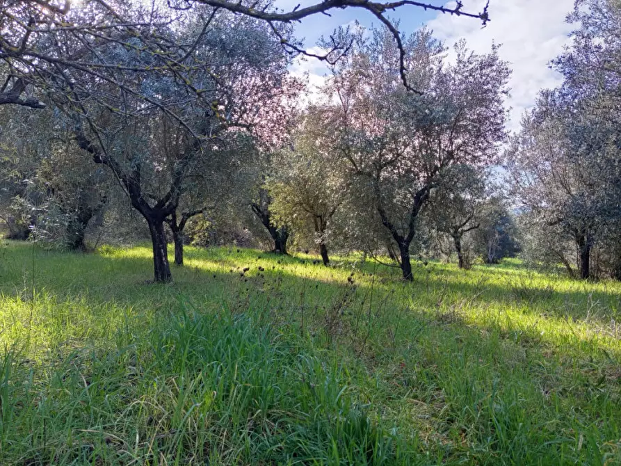 Immagine 1 di Terreno in vendita  in Via Beato Tommaso da Cori a Palombara Sabina