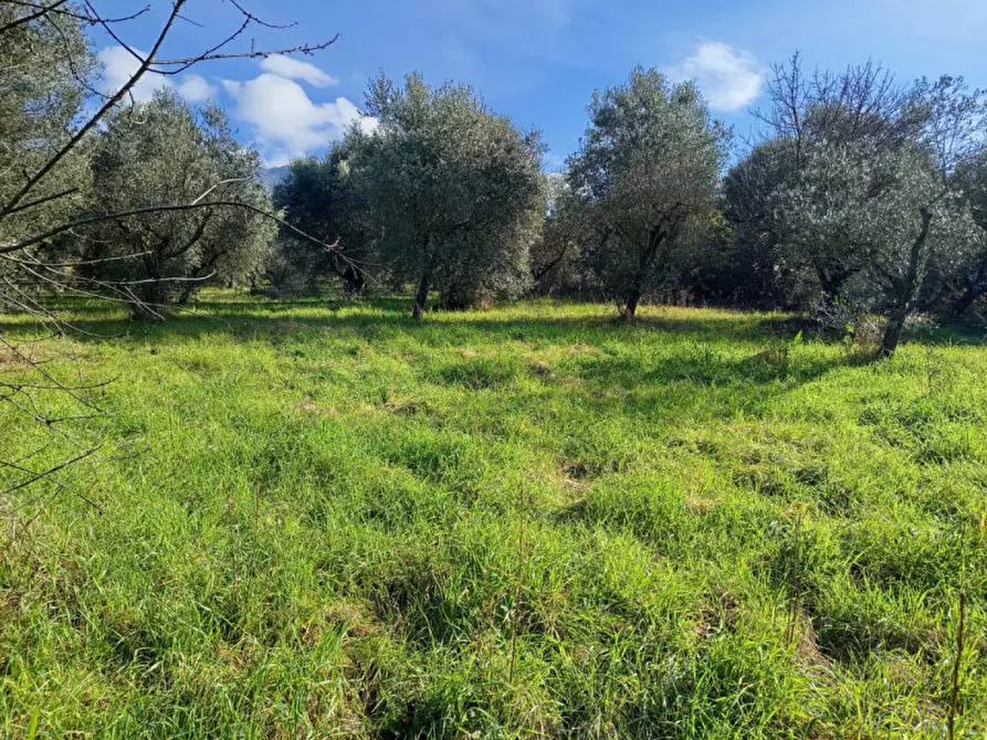 Immagine 4 di Terreno in vendita  in Via Beato Tommaso da Cori a Palombara Sabina