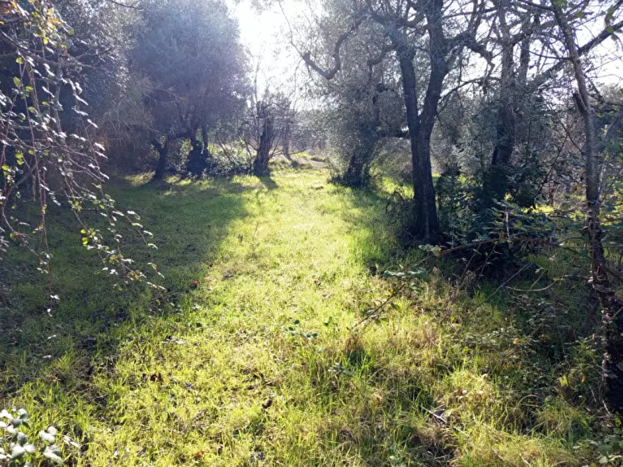 Immagine 8 di Terreno in vendita  in Via Beato Tommaso da Cori a Palombara Sabina