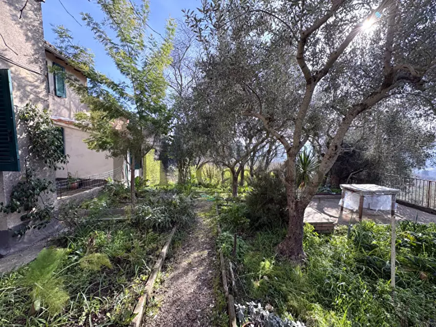 Immagine 27 di Villetta a schiera in vendita  a Panicale