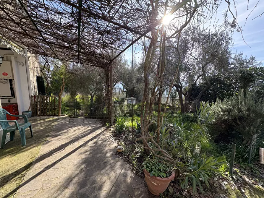 Immagine 30 di Villetta a schiera in vendita  a Panicale