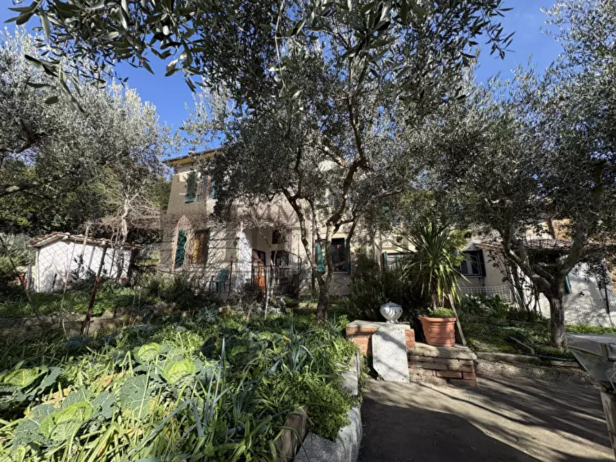 Immagine 31 di Villetta a schiera in vendita  a Panicale