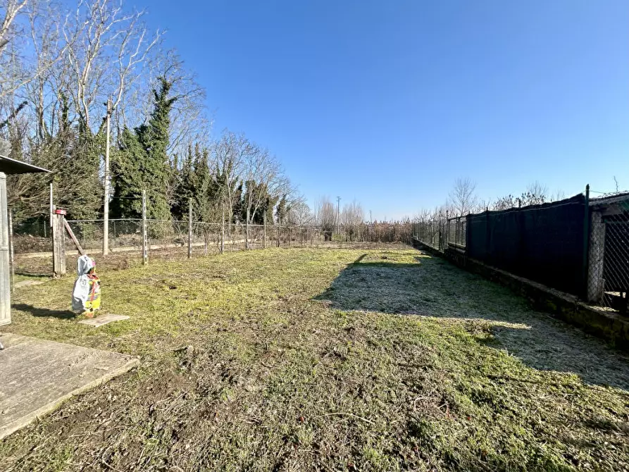 Immagine 35 di Casa indipendente in vendita  in Via Livello 85 a Legnago